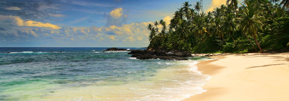 Ilha de São Tomé - 